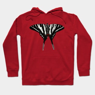 Zebra Swallowtail Butterfly Drawing Hoodie